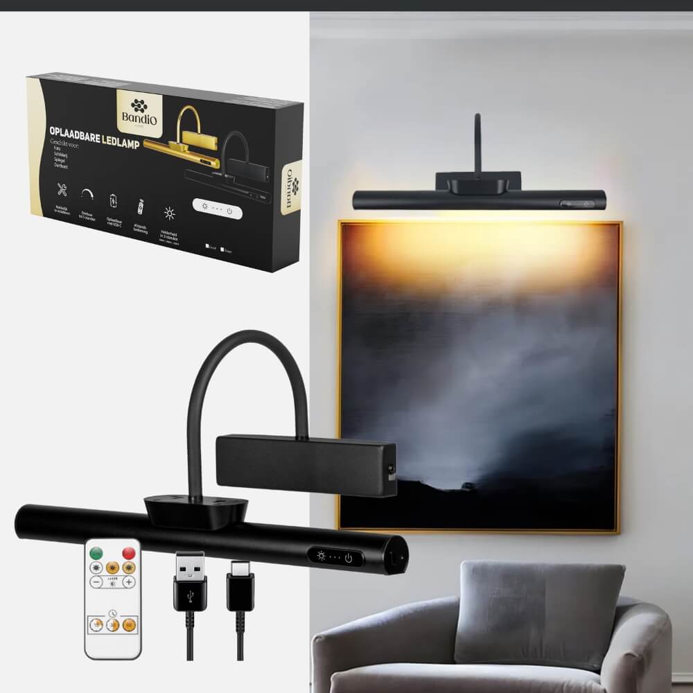 Schilderijlamp oplaadbaar zwart